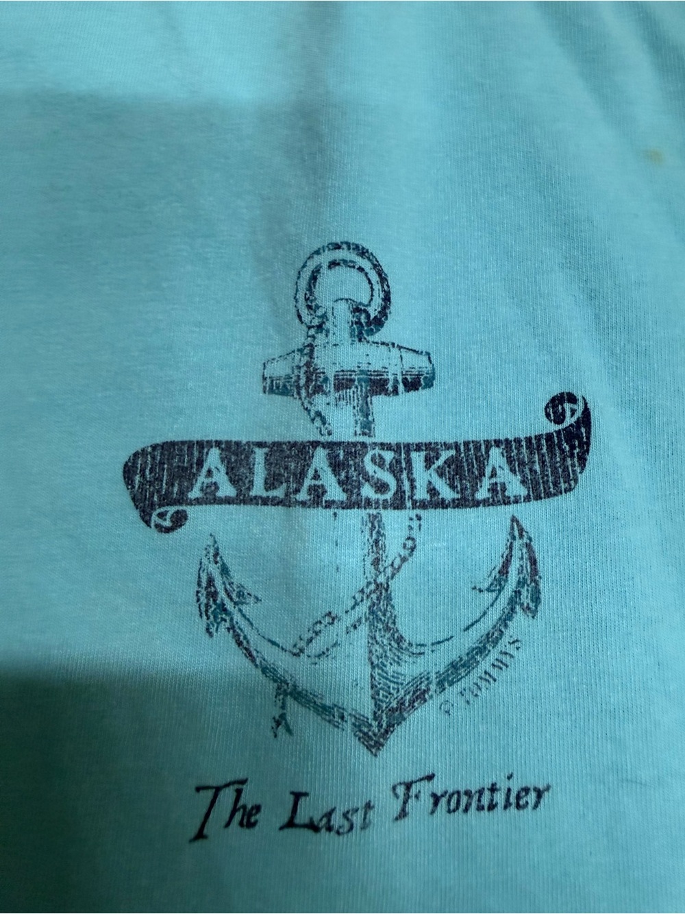 Alaska Anchor Graphic Men’s long sleeves t-shirt- Light Blue